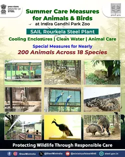 SAIL Rourkela Enhances Summer Care for Zoo Animals with Proactive Initiatives | Populer Platform