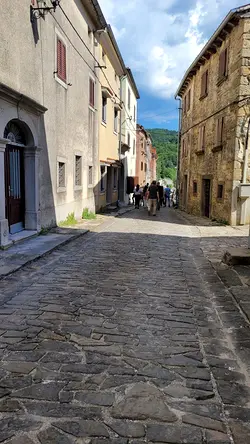 Final Conference of REVIVE Project in Poreč, Croatia: Innovating Rural Development | Populer Platform