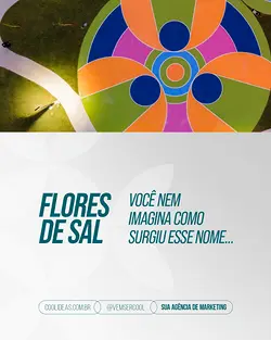 Crafting Strategy and Meaning: Naming the Largest Project in Southern Brazil | Populer Platform