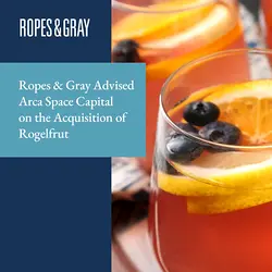 Arca Space Capital Acquires Rogelfrut to Build a Leading Artisanal Gelato Platform | Populer Platform