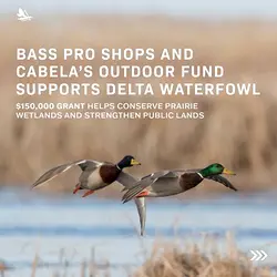 Bass Pro Shops and Cabela’s Grant Aids Delta Waterfowl in Wetland Conservation | Populer Platform