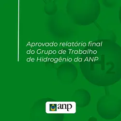 Final Report on Hydrogen Group Activities Approved by ANP, Shaping Energy Transition and Decarbonization | Populer Platform