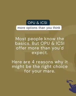 Why OPU & ICSI Should Be Your First Choice for Breeding Success | Populer Platform