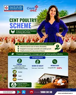 Boost Your Poultry Business with Central Bank of India’s Cent Poultry Scheme | Populer Platform