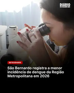 São Bernardo Leads in Low Dengue Incidence in Greater São Paulo | Populer Platform