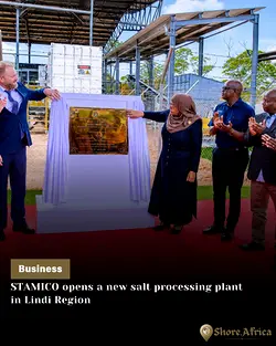 Tanzania Launches New Salt Processing Plant to Boost Local Manufacturing | Populer Platform