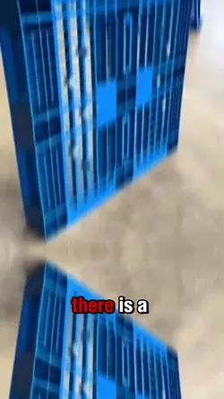 The Legal Mystery Behind Blue Pallets: Why You Can't Own One | Populer Platform