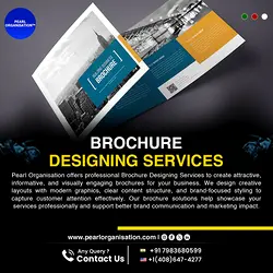 Professional Brochure Designing Services to Boost Your Marketing Impact | Populer Platform
