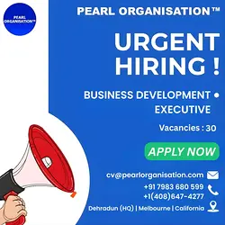 Join Our Global Team: Business Development Executive Positions Open | Populer Platform