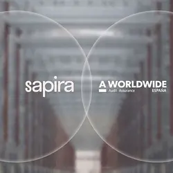 Building an AI Solution Tailored for Financial Audits: The Sapira Project | Populer Platform