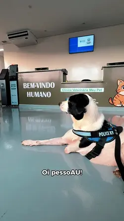 New Public Veterinary Clinic Meu Pet Opens in Ribeirão Preto for Pets | Populer Platform