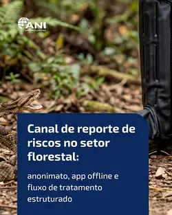 Addressing Underreporting in Forest Operations with ANI Sistemas' Risk Reporting Module | Populer Platform