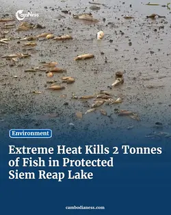 Mass Fish Die-Off in Tamouk Lake Raises Conservation Concerns | Populer Platform