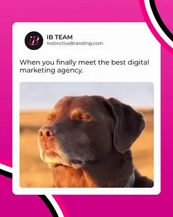 Find Authority and Relief in Marketing with InstinctiveBranding | Populer Platform