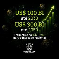 Unlocking the Billion-Dollar Carbon Credits Market in Brazil by 2050 | Populer Platform