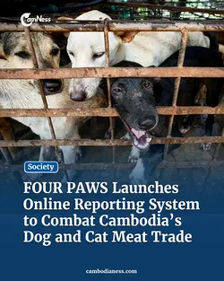 FOUR PAWS Launches Khmer Platform to Address Cambodia's Dog and Cat Meat Trade | Populer Platform