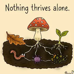 Understanding Nature's Interdependence: The Interconnectedness of All Living Things | Populer Platform