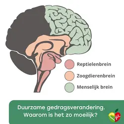 Webinar: Achieving Sustainable Behavioral Change with Dr. Rogier Hoenders | Populer Platform